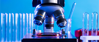 生物免费看片软件下载