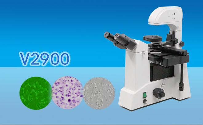 三目倒置生物免费看片软件下载V2900