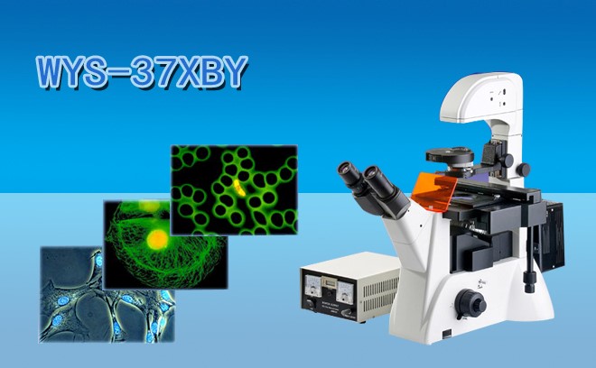 倒置荧光免费看片软件下载的原理