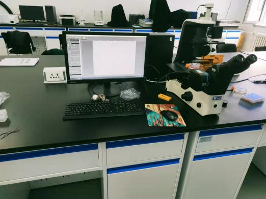 荧光免费看片软件下载.png 荧光免费看片软件下载.png