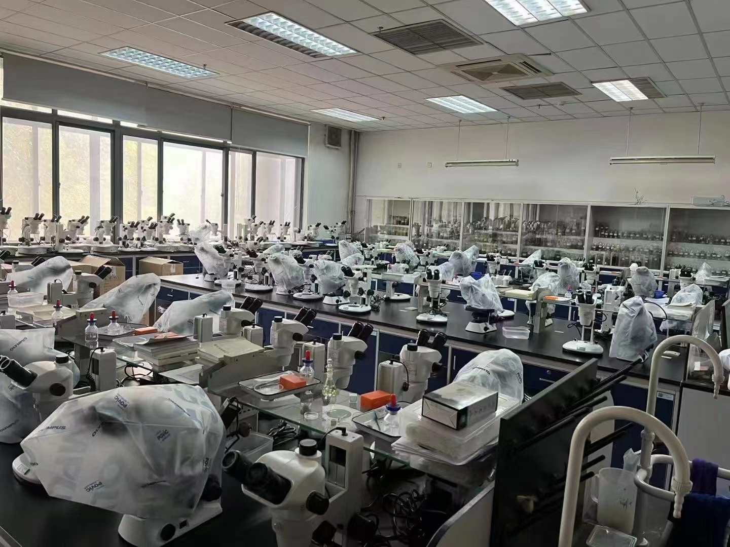 免费看片软件下载.png 免费看片软件下载.png