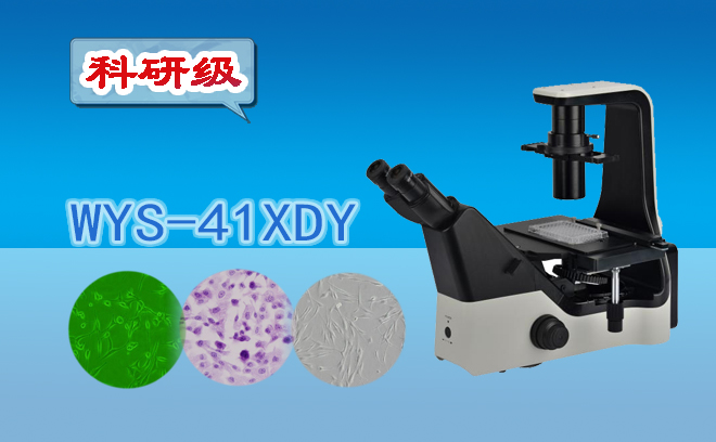 倒置荧光免费看片软件下载适合在那些领域使用？